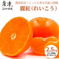 『予約受付』【令和7年1月下旬発送】麗紅(れいこう) ハウス栽培 唐津産 2.5kg 混合サイズ みかん 蜜柑 柑橘 果物 フルーツ
