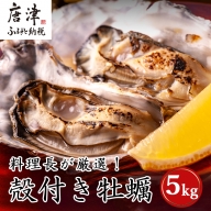 いろは島の料理長が厳選！唐津産 牡蠣5kg ナイフ 軍手付 (加熱用)殻付き かき カキ 殻付き牡蠣 養殖 まがき 貝 海鮮 シーフード