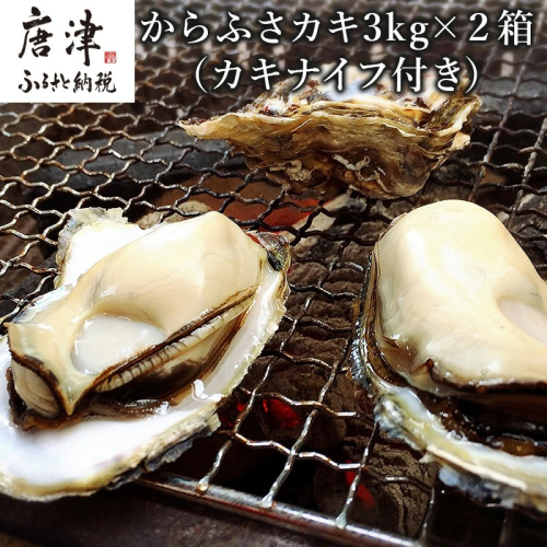 『予約受付』【令和8年3月上旬発送】佐賀県唐津市唐房産 からふさカキ3kg×2箱 (カキナイフ付き) レシピ 牡蠣 貝 BBQ アウトドア 387928 - 佐賀県唐津市