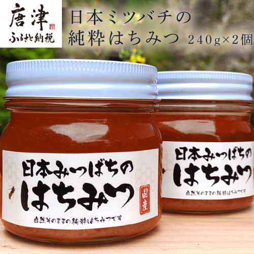 日本ミツバチの純粋はちみつ 240g×2個 (合計480g) 瓶 自然 蜜「2023年