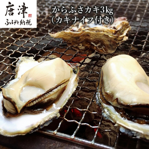 『予約受付』【令和8年3月上旬発送】佐賀県唐津市唐房産 からふさカキ3kg (カキナイフ付き) レシピ 牡蠣 BBQ アウトドア 388127 - 佐賀県唐津市