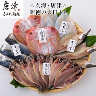 昭徳の天日干し 1枚60g～90g 全16枚(真あじ開き60g×6枚 真さば片身90g×3枚 かます開き80g×3枚 連子鯛開き180g×2枚 剣先いか開き70g×2枚) おかず ギフト「2024年 令和6年」