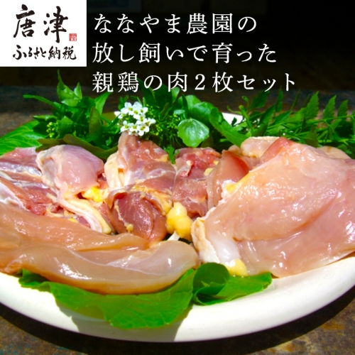 佐賀県産 放し飼いで育った親鶏の肉 (もも むね ささみ各2枚×2) 煮込み料理 たたき「2023年 令和5年」 388155 - 佐賀県唐津市