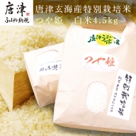 唐津玄海産特別栽培米つや姫 白米4.5kg 粘りと柔らかさのバランスが良いお米 ギフト ごはん