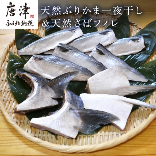 天然ぶりかま一夜干し ハーフ2食×2袋 計400g＆天然さばフィレ 100g×2枚×3袋計600g(合計1kg) おかず おつまみ 「2023年 令和5年」 388405 - 佐賀県唐津市