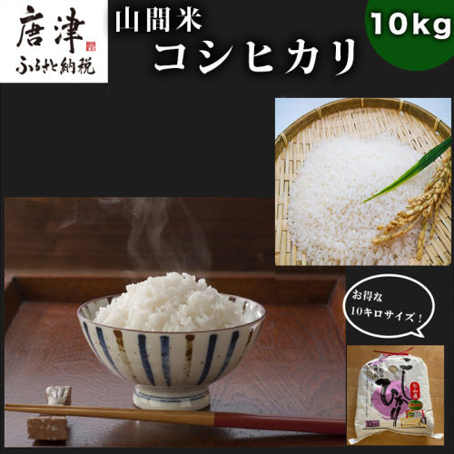 『先行予約』【令和6年産】山間米 コシヒカリ 10kg 唐津 七山 388644 - 佐賀県唐津市