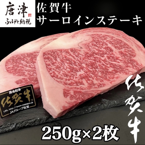 佐賀牛サーロインステーキ 250g×2枚(合計500g) 牛肉 ステーキ BBQ「2022年 令和4年」