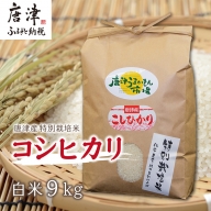 唐津産特別栽培米 コシヒカリ(白米) 4.5kg×2袋(合計9kg) ご飯 コメ お米