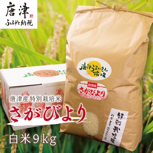 唐津産特別栽培米 さがびより(白米) 9kg コメ お米 ごはん 白米 ご飯 こめ お米 おにぎり 388751 - 佐賀県唐津市