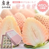 白いちご 雪うさぎ 450ｇ入り化粧箱（佐賀県唐津市限定生産）苺 イチゴ 希少 果物 フルーツ