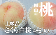 KF-A010【きよとう】岡山県産しっかりとした果肉が美味しい、さくら白桃（上級品）4-6玉入