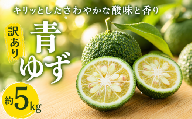 青ゆず 訳あり規格外品 約5kg 柚子 ユズ 夏 果皮 薬味 柚子胡椒 果汁 魚料理 麺類 香り 青柚子 8月 9月 キズ 日焼け トゲ傷 打ち身 黒変 色抜け 数量限定 期間限定 高知県 柑橘 ビタミン 生産者 千光士農園 安芸市 高知県