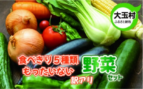 もったいない野菜　野菜セット（5種類）　野菜　新鮮　訳あり　食べ切り　SDGs【01068】