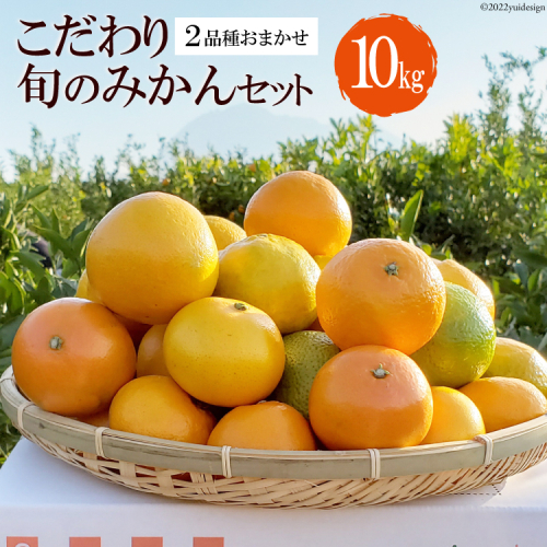 BC003 森崎果樹園のこだわり旬のみかんセット 10kg [みかん ミカン 旬 10キロ 森崎果樹園 長崎県 島原市] 389487 - 長崎県島原市