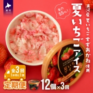 果肉55%「夏いちごアイス(12個)」【全3回定期便】[B22-1142]