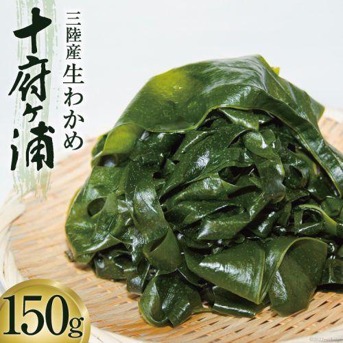 生わかめ 三陸産 十府ヶ浦 150g [マルニシ 宮城県 気仙沼市 20564316] わかめ 海藻 三陸わかめ 389541 - 宮城県気仙沼市