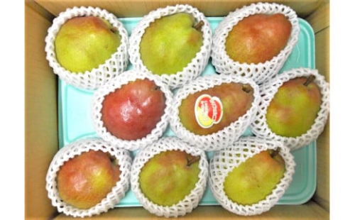 西洋梨（カリフォルニア）３ｋｇ　ご家庭用　0017-2515