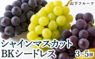 [先行予約]山下フルーツ シャインマスカットとBKシードレスの詰め合わせ 3房から5房 2025年8月中旬から9月中旬 出荷予定