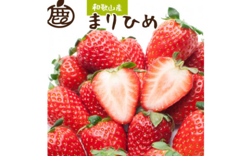 朝摘み完熟まりひめ約600g（300g前後×2トレイ）［和歌山ブランド苺まりひめ］［こだわりの土耕栽培のいちごを農家直送］［IKE101］ 389759 - 和歌山県上富田町