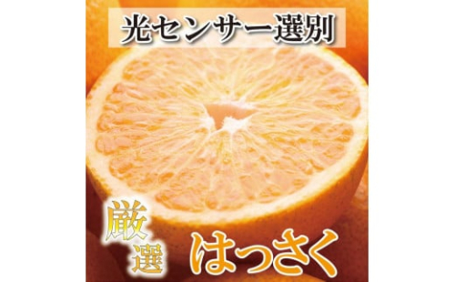 ［先行予約］家庭用 はっさく5kg+250g（傷み補償分）【八朔みかん】【訳あり・わけあり】［IKE29］ 389785 - 和歌山県上富田町