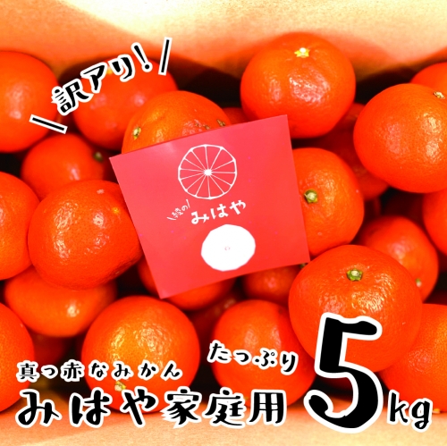 【訳あり】みはや 5kg 新品種 柑橘 先行受付 （14-66） 389804 - 宮崎県綾町