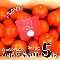 【訳あり】みはや 5kg 新品種 柑橘 先行受付 （14-66）