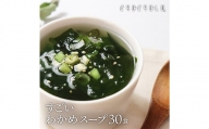 すごい元気わかめスープ 合計2セット(4g×30食) 小分け わかめ スープ 温活 美容 食品 F20E-813