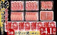 KU405 【毎月数量限定】宮崎県産 豚バラエティー 4.1kgセット