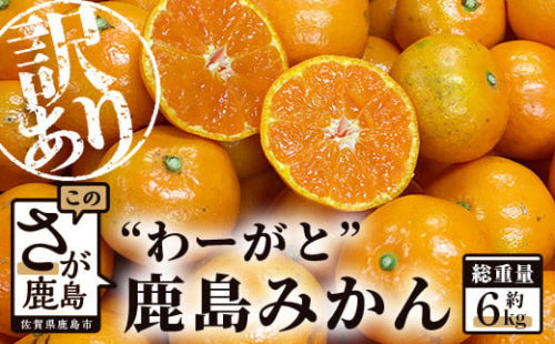 【先行予約】（2026年11月上旬～発送）”わーがと”鹿島産がばい訳アリみかん 約6kg【サイズ別】【期日指定不可】国産 佐賀県産 ミカン 蜜柑 果物 フルーツ AA-39 