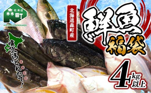北海道森町産 噴火湾とれたて鮮魚福袋4kg以上 アブラコ（アイナメ） カレイ類 カジカ ソイ ガヤ ニシン 福袋 鮮魚 海鮮 セット 焼き魚 煮付け 鍋 ふるさと納税 北海道 森町 mr1-0149 390608 - 北海道森町