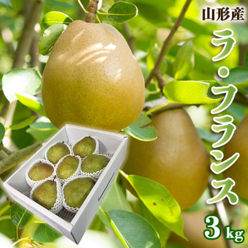山形のラ・フランス 秀 約3kg(6～9玉・3L～6L)  FZ22-964 390940 - 山形県山形市