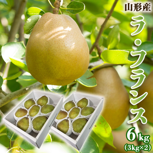 山形のラ・フランス 秀 約6kg(12～18玉・3L～6L)  FZ22-365 390941 - 山形県山形市