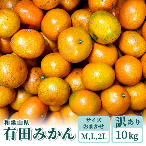 『訳あり』和歌山有田みかん約10kg(MかLか2Lサイズいずれかおまかせ)| ミカン 柑橘 フルーツ
※2022年10月下旬頃~2023年1月中旬頃に順次発送予定 390970 - 和歌山県美浜町