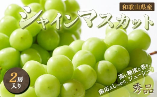 ◆先行予約◆和歌山県産 シャインマスカット 2房入り〈秀品〉［2025年8月中旬以降出荷］［MG23］ 391465 - 和歌山県上富田町