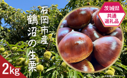 &starf;こちらの返礼品は【茨城県共通返礼品】です。&starf;【2023年9月上旬〜10月中旬頃にお届け】の先行予約品です。生産量日本一を誇る茨城県の無農薬で育てた体に優しい生