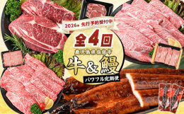 &starf;皆さまからの声に応えて、2024年10月〜内容量を見直しました&starf;ご決済翌月から連続4回、鹿児島自慢の牛・うなぎをお届けする定期便です&star;おいし