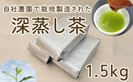 No.030 毎日茶 深蒸し茶 1.5kg ／ お茶 茨城県
