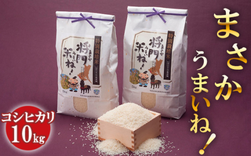 No.125 将門米ね！（まさかうまいね！） コシヒカリ10kg ／ お米 こしひかり 茨城県 392442 - 茨城県坂東市