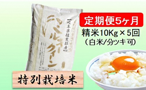 特別栽培米★[頒布会] 5カ月★毎月 精米10kg または玄米11kg 【ミルキークイーン】