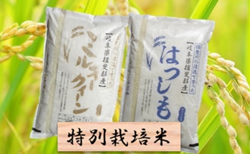 特別栽培米★白米4kg 【ミルキークイーン・ハツシモ】
