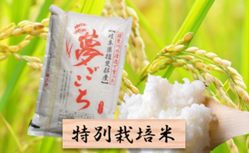 特別栽培米★精米10kg(分搗き可)または玄米11kg 【夢ごこち】 392545 - 岐阜県池田町