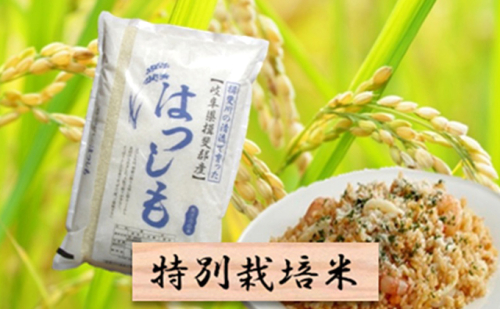 特別栽培米★精米10kg(分搗き可)または玄米11kg 【ハツシモ】 392546 - 岐阜県池田町