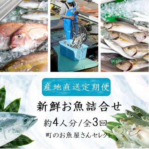 【3回定期便】魚屋さんの選んだ新鮮お魚詰め合わせ（約4人分） 392642 - 鹿児島県肝付町