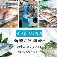 【3回定期便】魚屋さんの選んだ新鮮お魚詰め合わせ（約4人分）