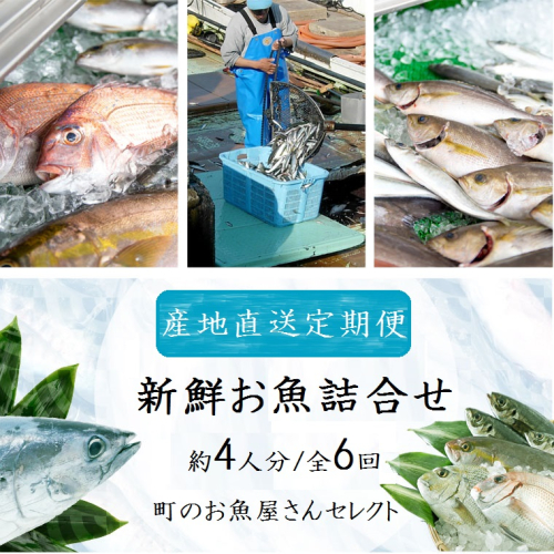 【6回定期便】魚屋さんの選んだ新鮮お魚詰め合わせ（約4人分）  392643 - 鹿児島県肝付町