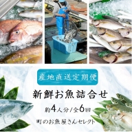 【6回定期便】魚屋さんの選んだ新鮮お魚詰め合わせ（約4人分）