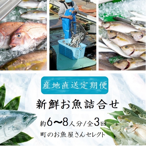 【3回定期便】魚屋さんの選んだ新鮮お魚詰め合わせ（約6～8人分）  392644 - 鹿児島県肝付町