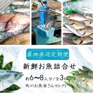 【3回定期便】魚屋さんの選んだ新鮮お魚詰め合わせ（約6～8人分）