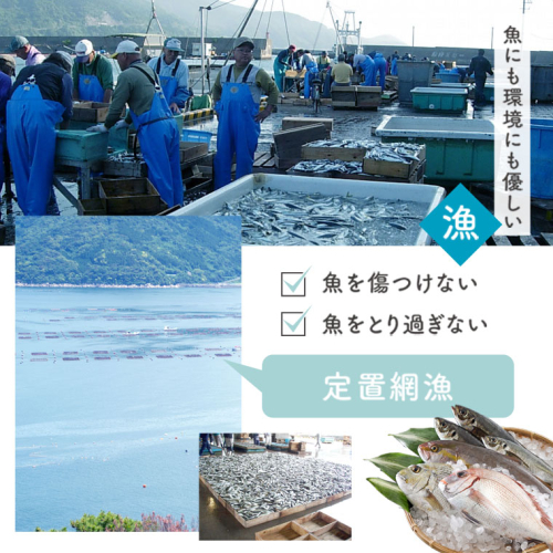 3回定期便】魚屋さんの選んだ新鮮お魚詰め合わせ（約6～8人分） 392644