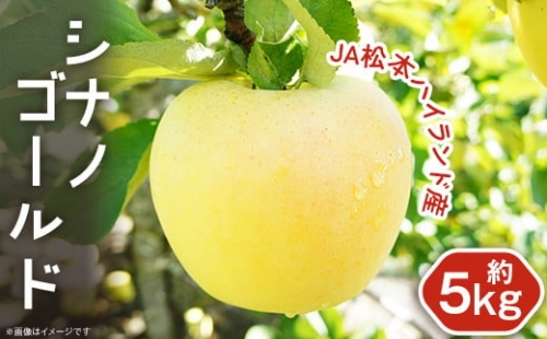 1836長野県産りんご「シナノゴールド」(JA松本ハイランド産)約5kg